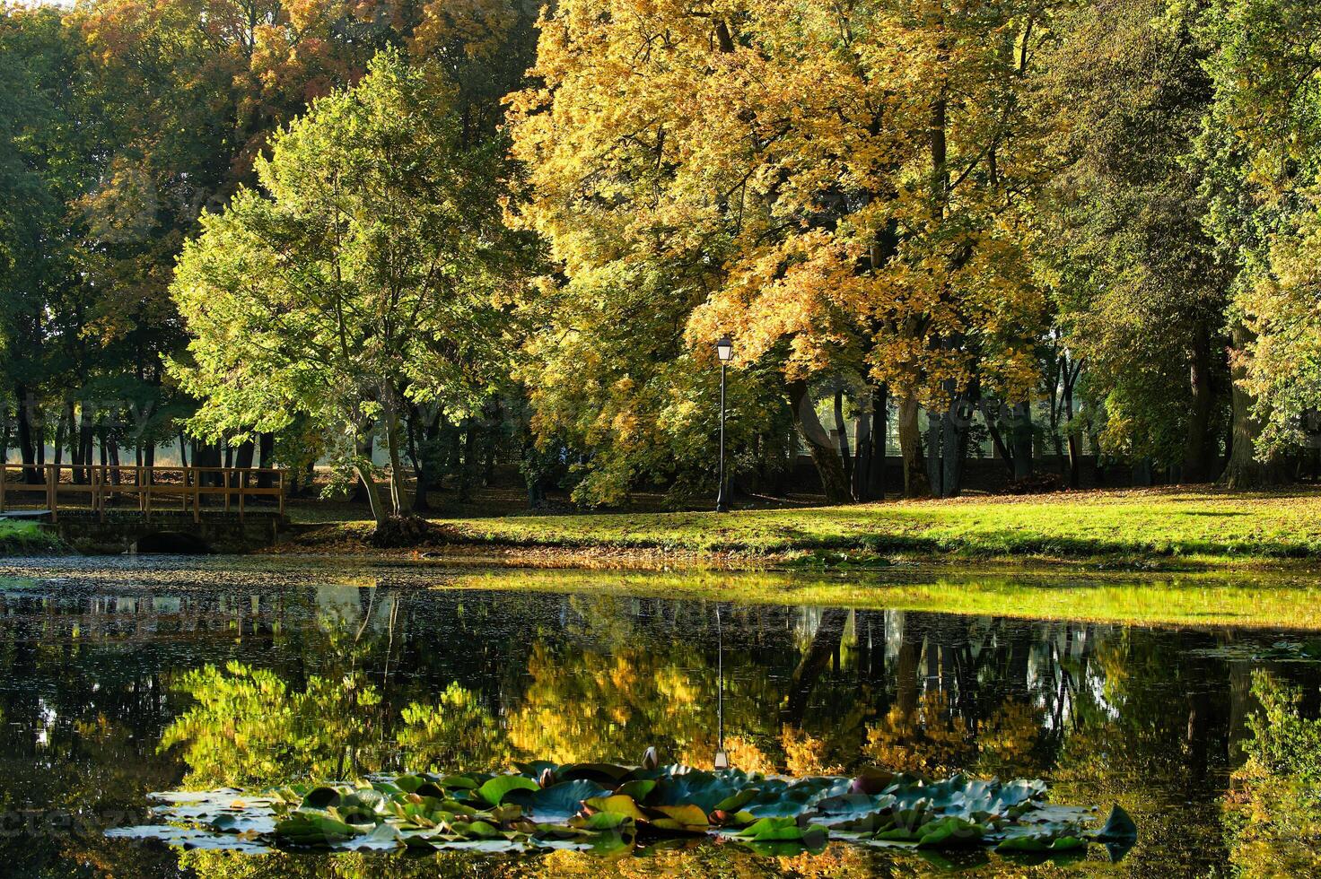 Autumn Reflections in a Serene Park photo