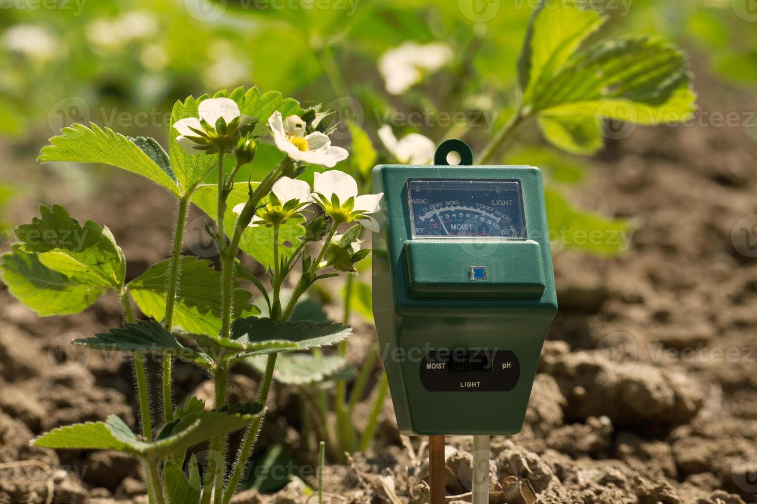 Measure soil with three way digital device photo
