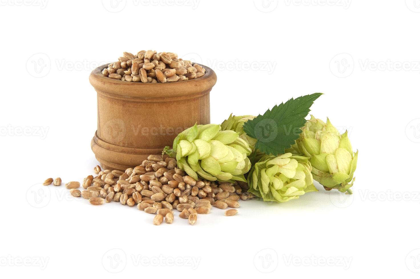 A wooden barrel surrounded by hops and wheat grains, set against an isolated white background photo