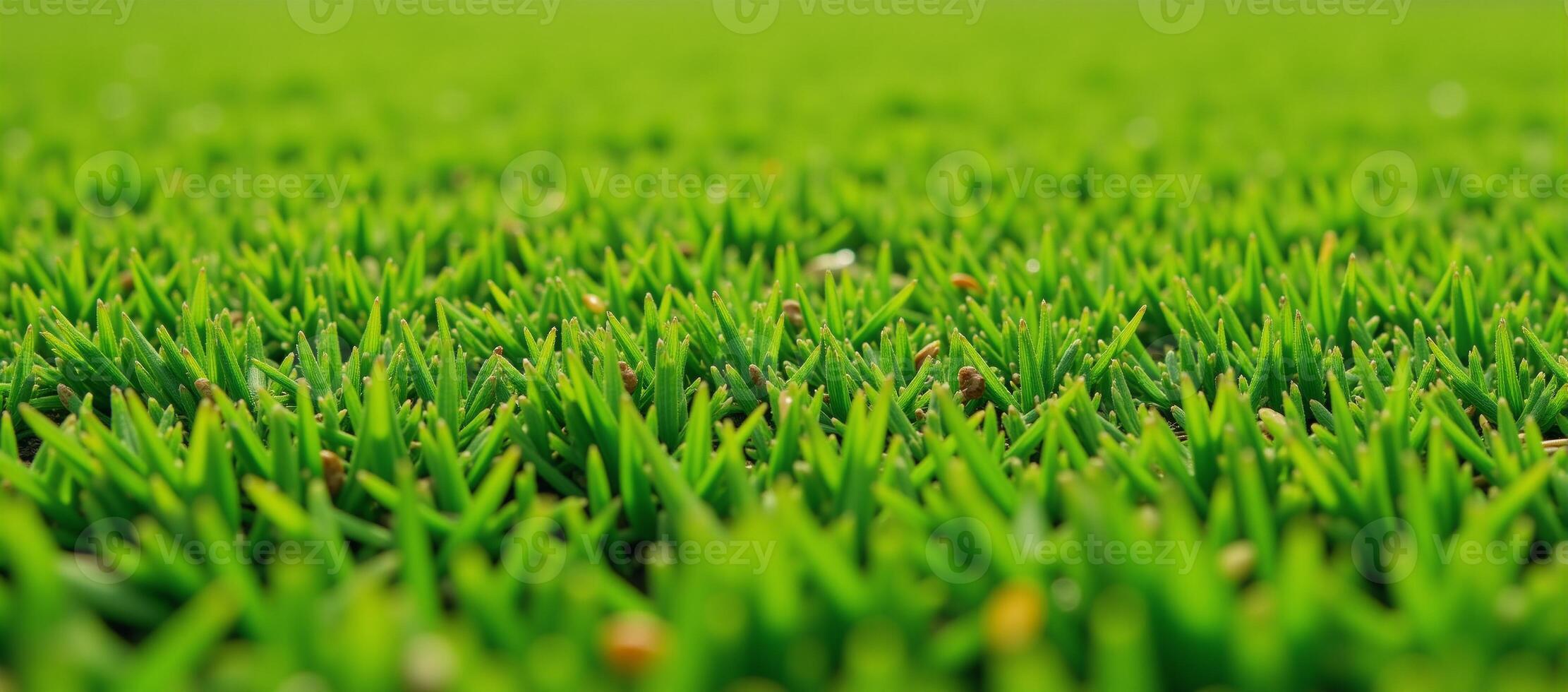 Closeup of detailed artificial grass field ideal for sports recreation and outdoor activity scenes photo