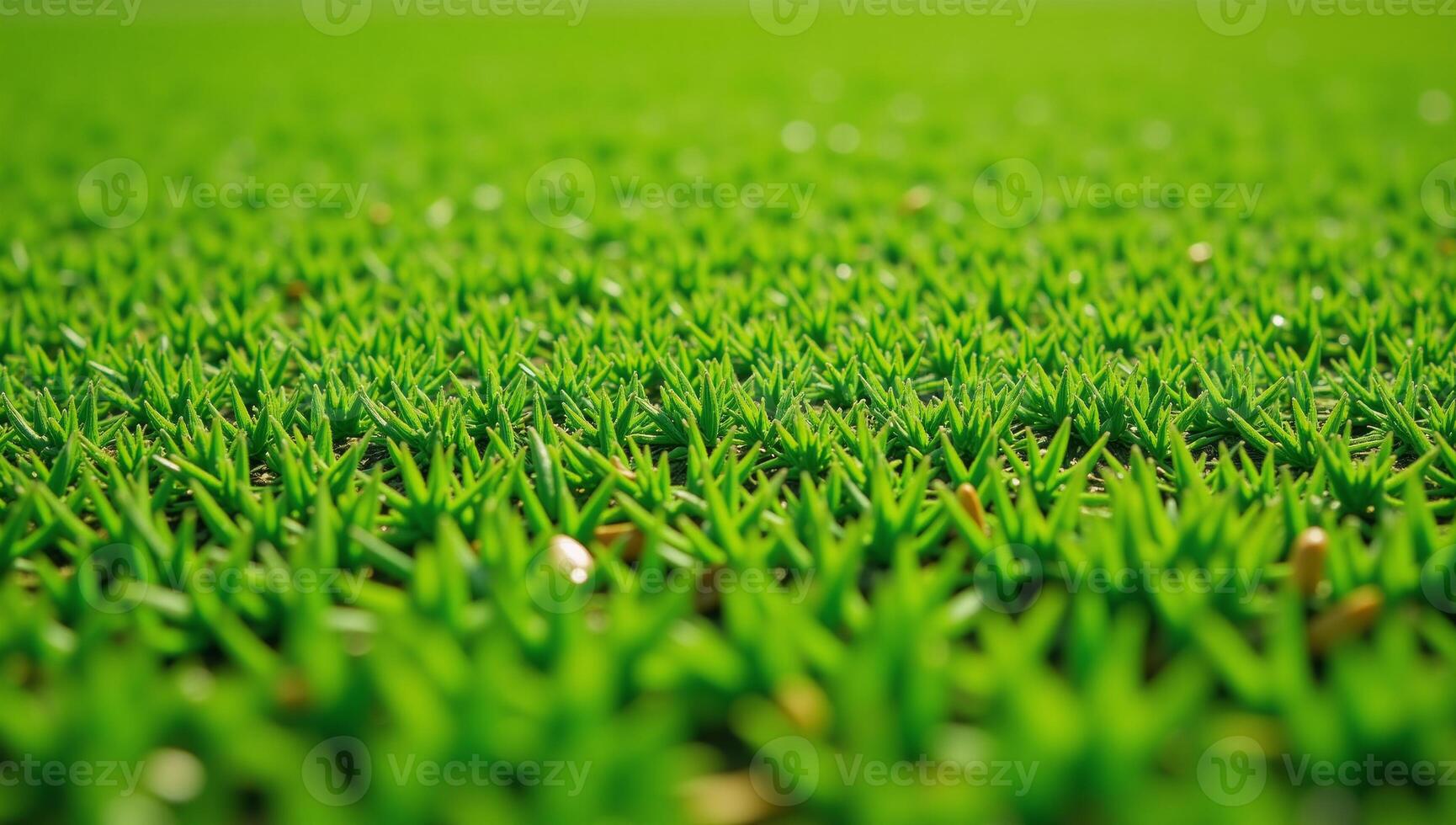 Closeup of detailed artificial grass field ideal for sports recreation and outdoor activity scenes photo
