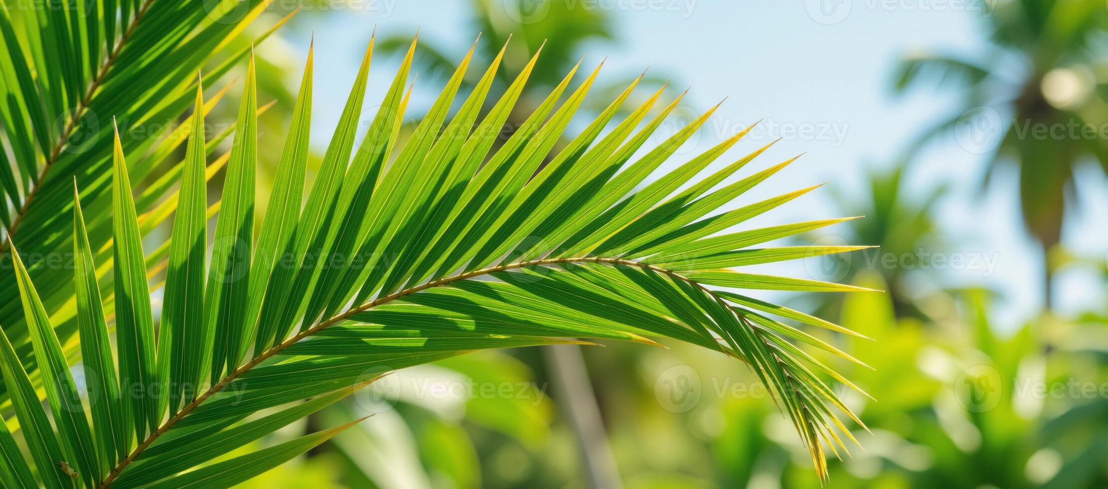 illustration showcasing a lush green palmtree backdrop against a tropical summer setting photo