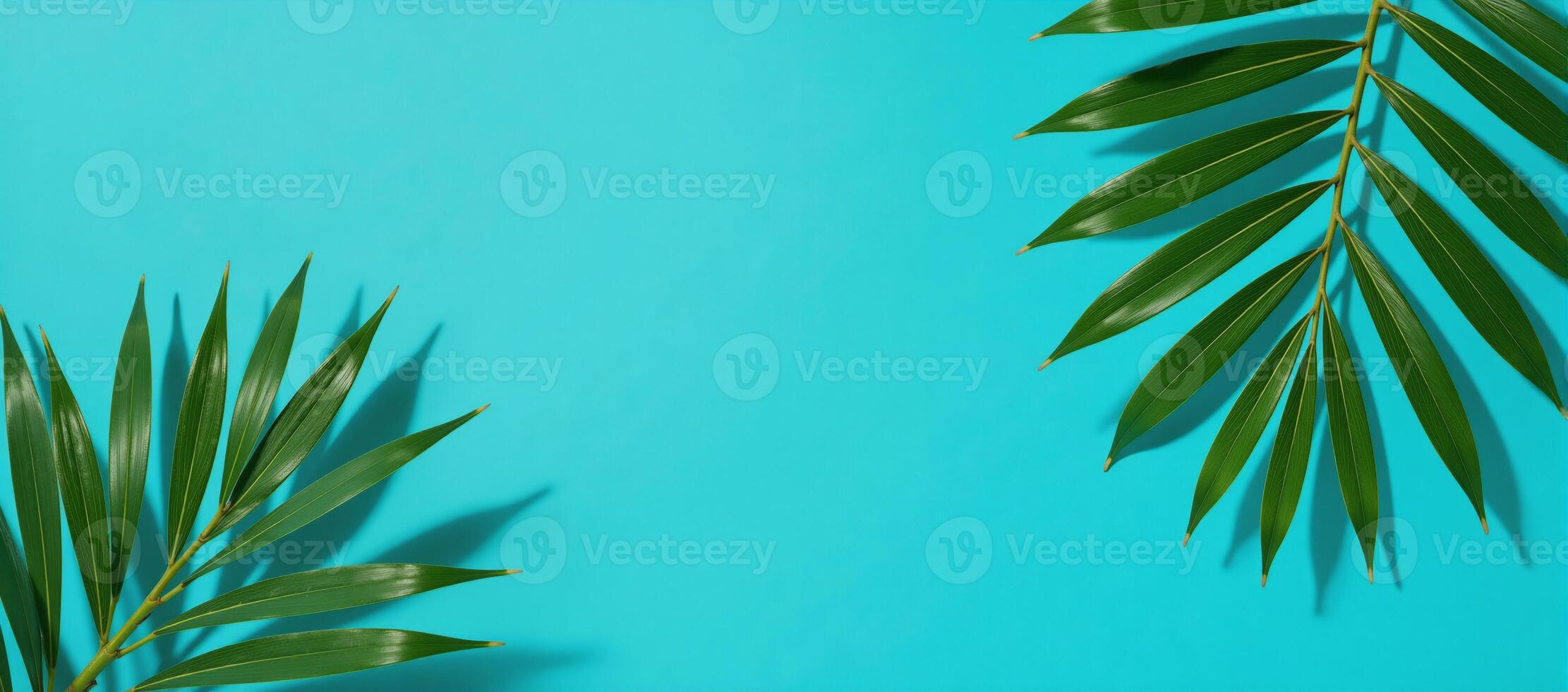 Minimalist flatlay showcases tropical palms cast against blue backdrop ideal for naturethemed text photo
