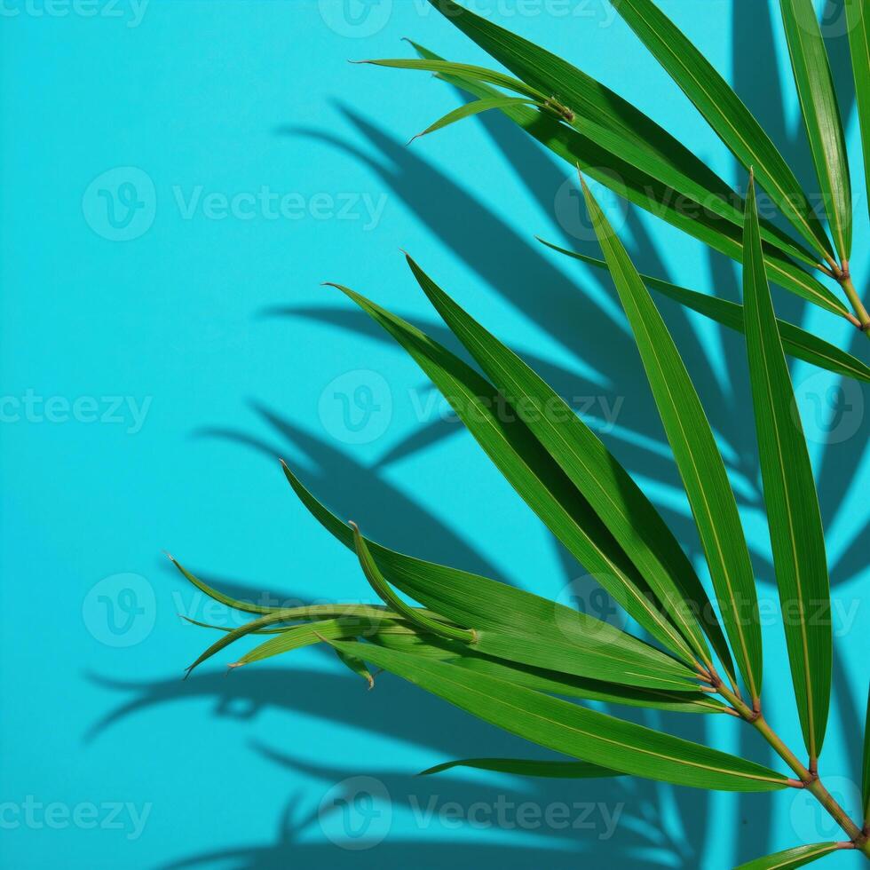 Minimalist flatlay showcases tropical palms cast against blue backdrop ideal for naturethemed text photo