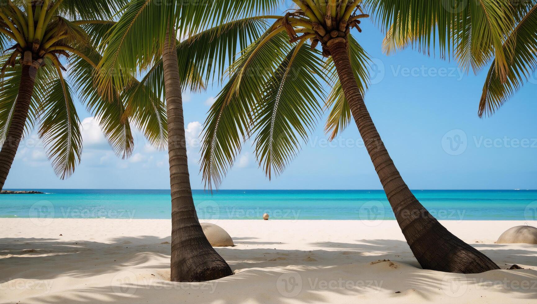 A tropical scene with palm tree patterns against a coconut backdrop photo