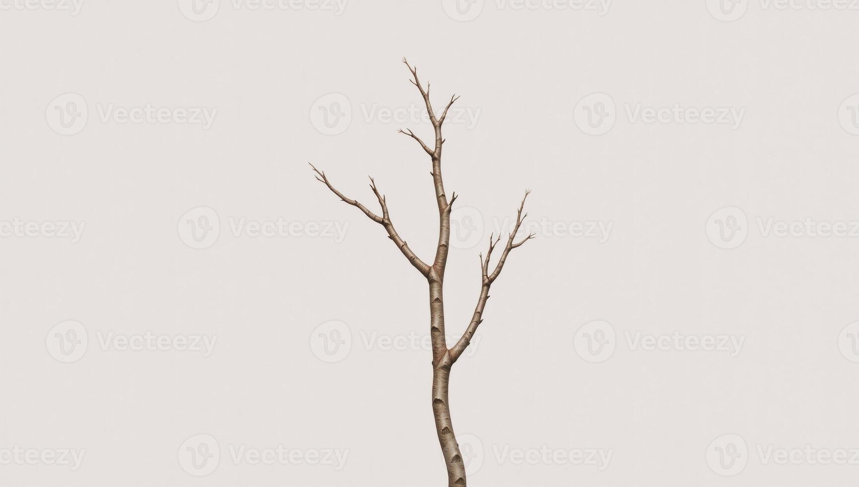 Watercolor illustration showcasing a minimalist lone brown tree branch against a pure white backdrop photo