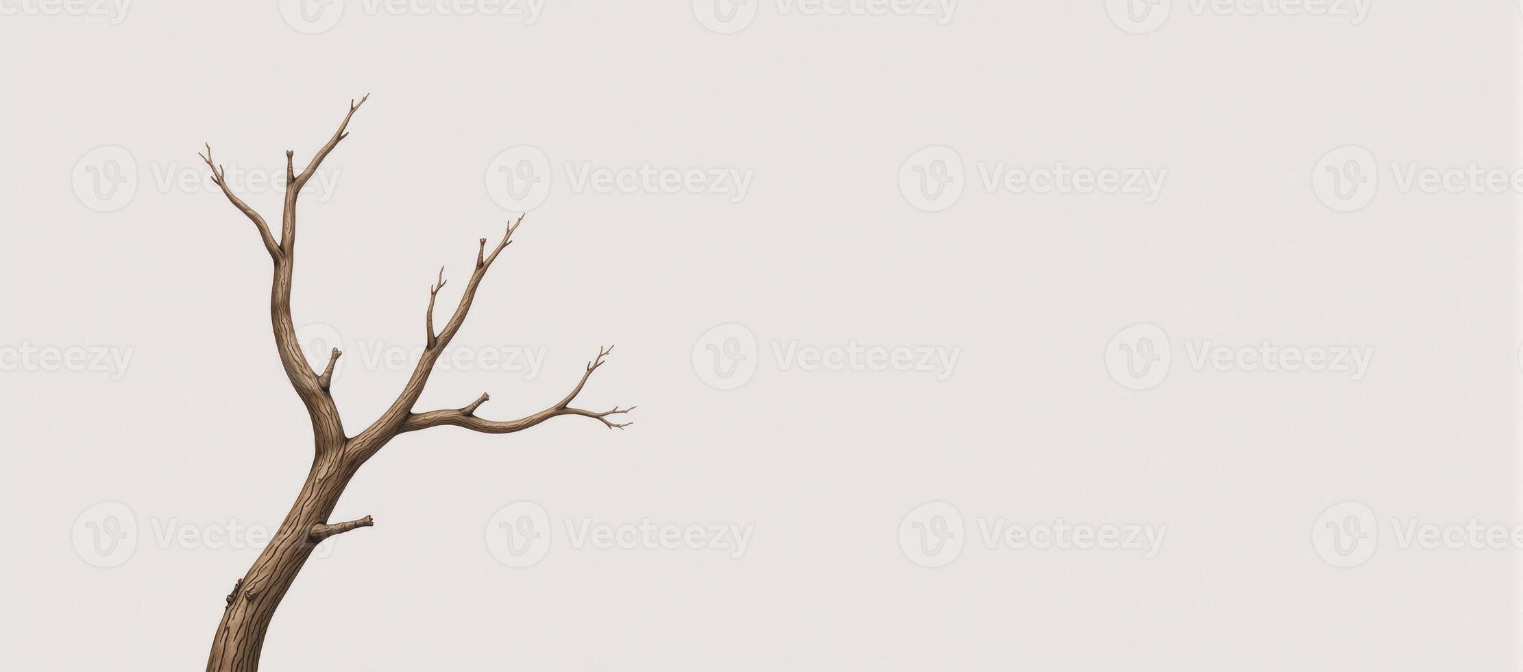 Watercolor illustration showcasing a minimalist lone brown tree branch against a pure white backdrop photo
