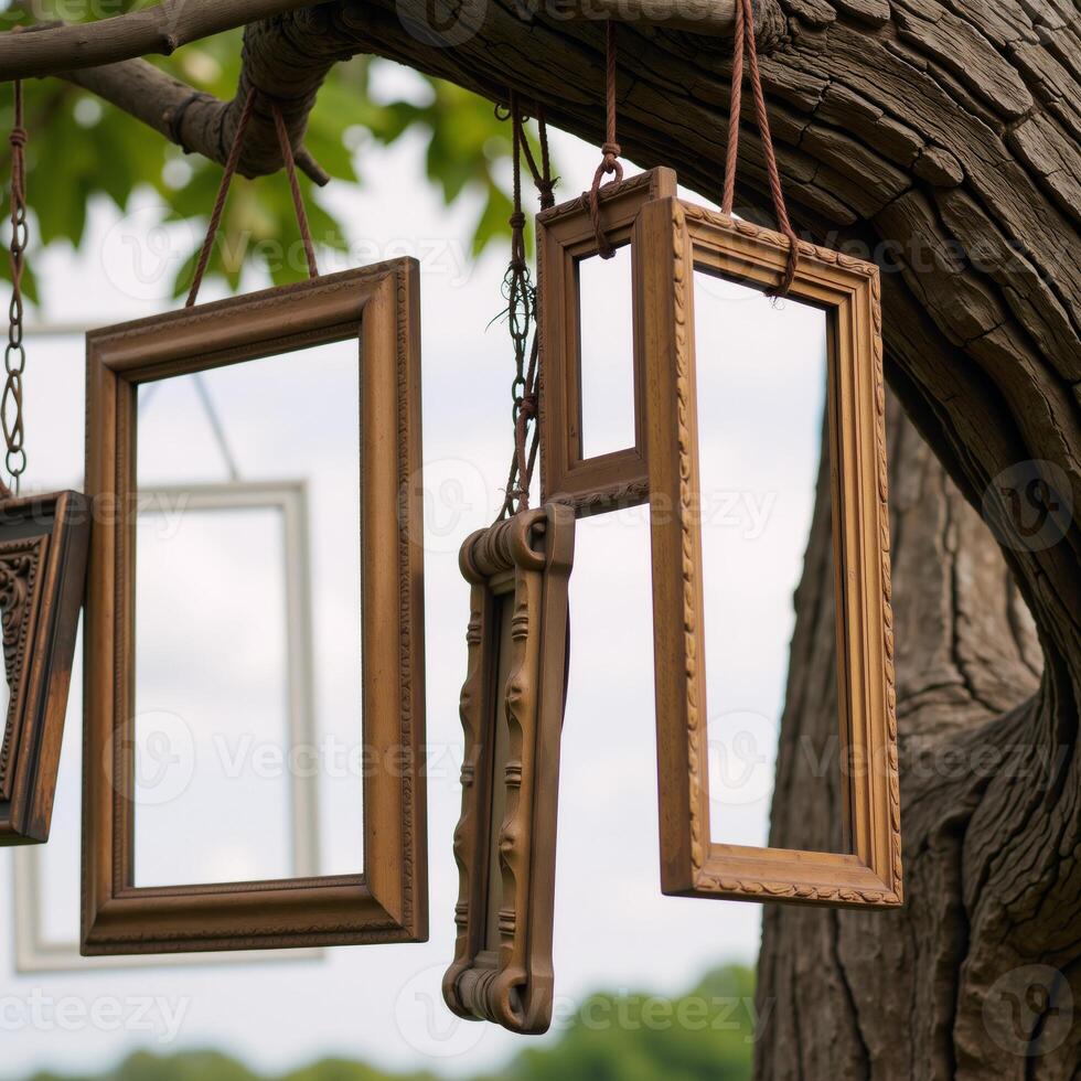 Picture frames hanging from a tree limb symbolize family history or genealogical research photo