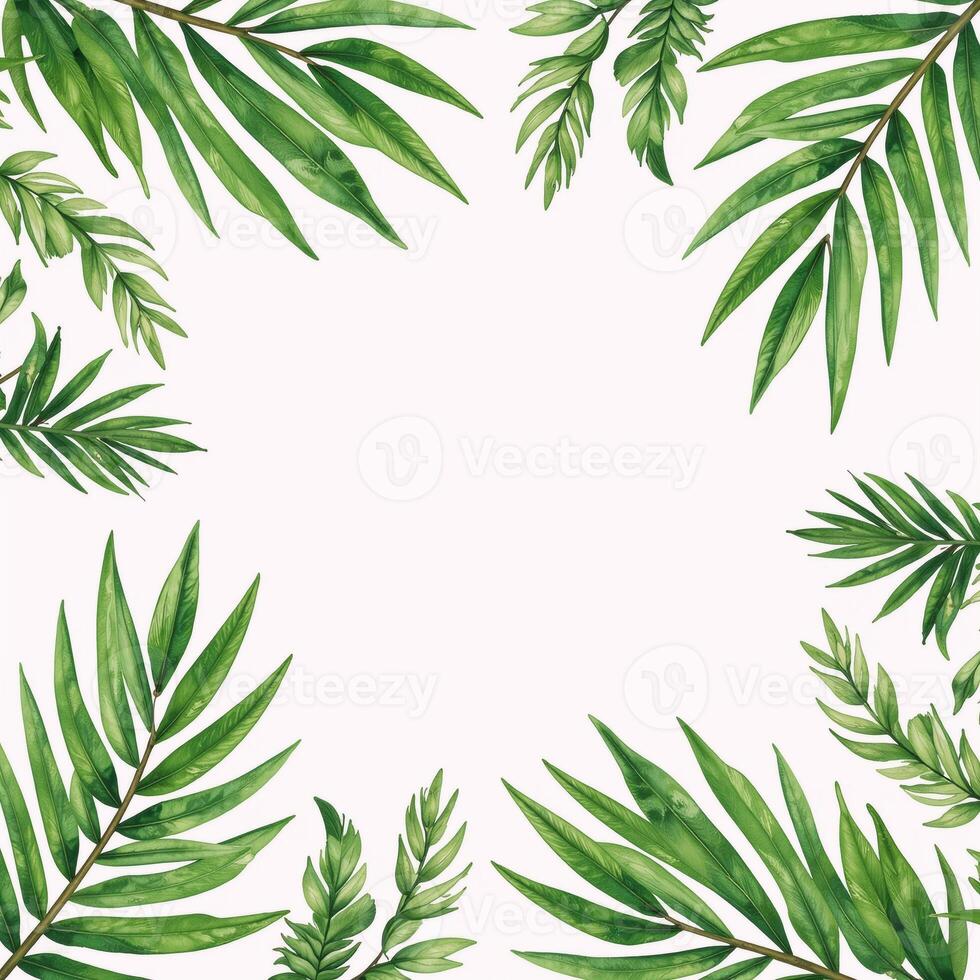 Watercolor botanical illustration featuring an exotic palm tree on a purewhite backdrop photo