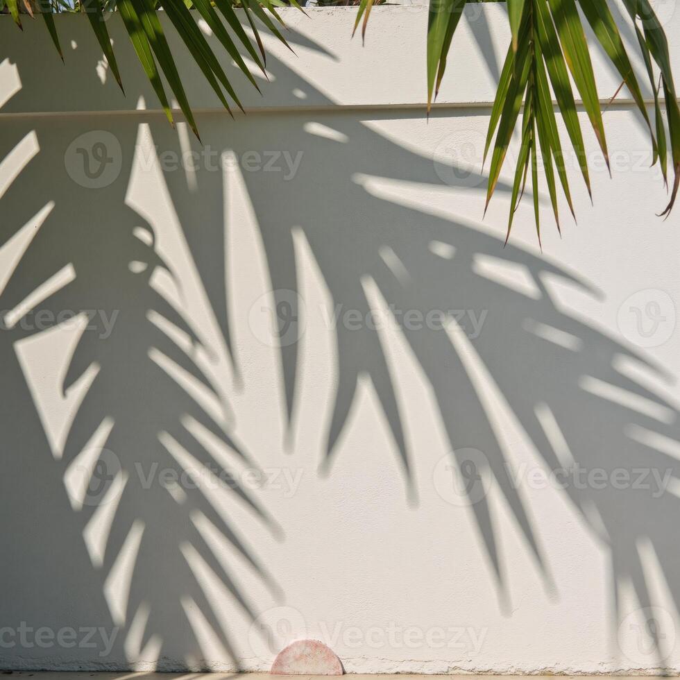 A dark silhouette from palms in summeryspring setting photo