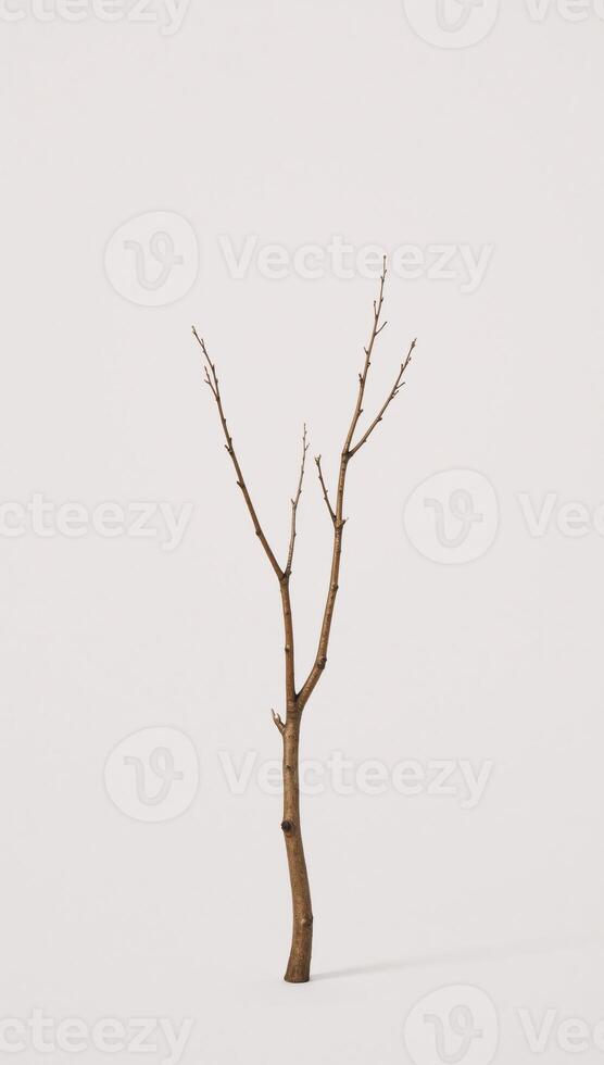 Watercolor illustration showcasing a minimalist lone brown tree branch against a pure white backdrop photo