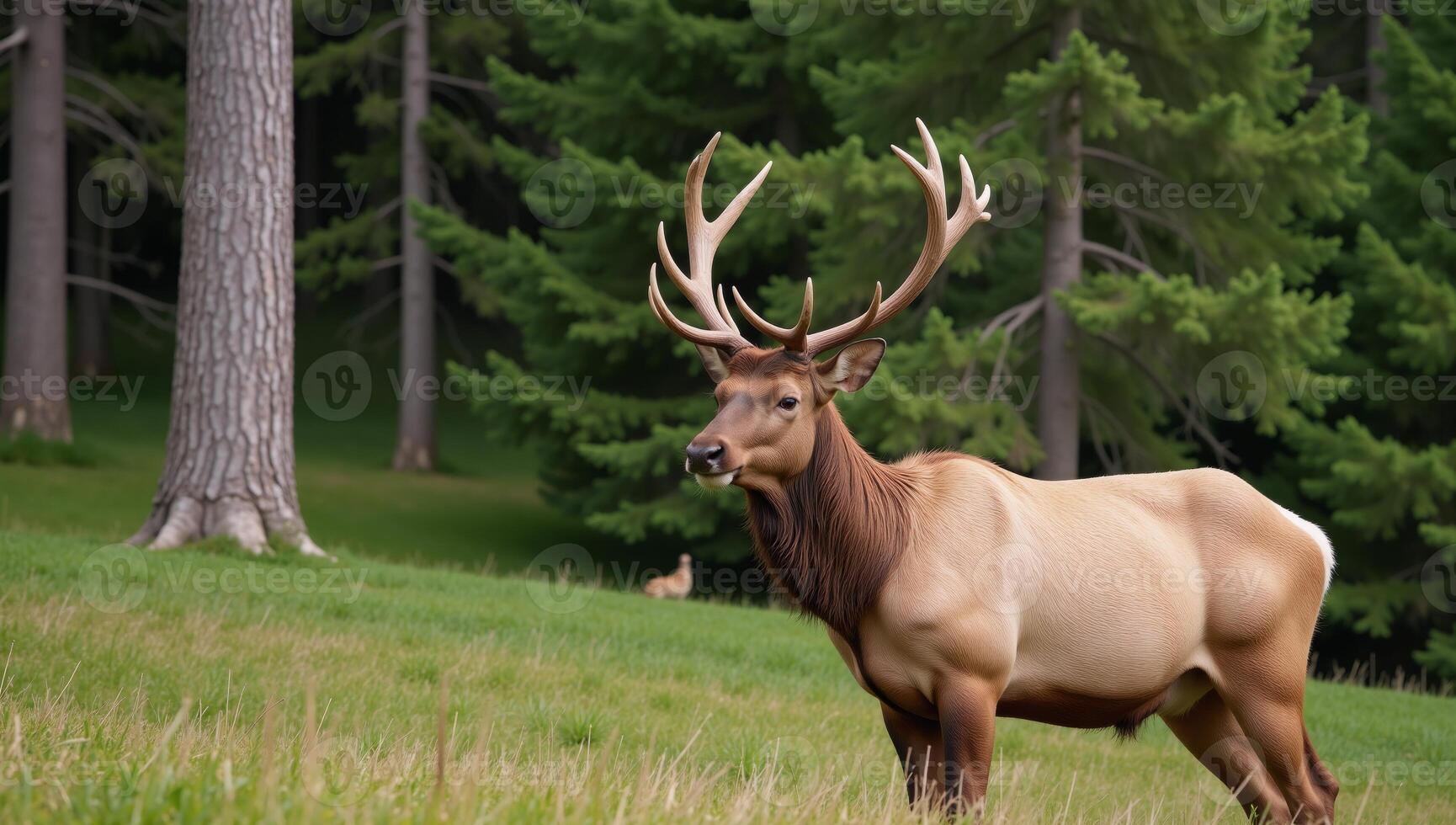 A majestic elk portrayed realistically with an emphasis on intricate details textures and fur patterns photo