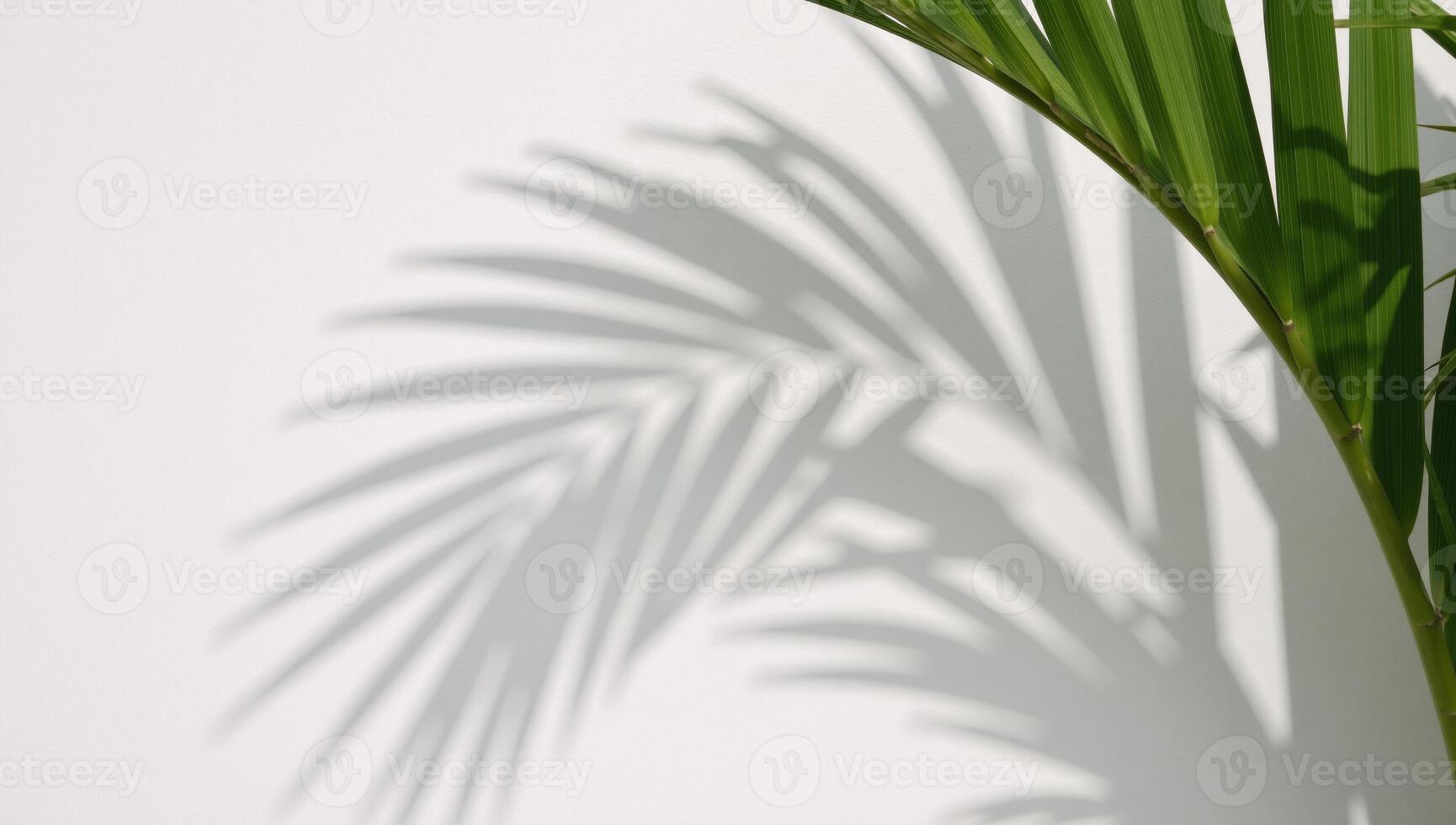 Realistic palm leave shadow overlay isolates tropical plants blurred shadows on white wall ideal for photomockup enhancement with white black color palette photo