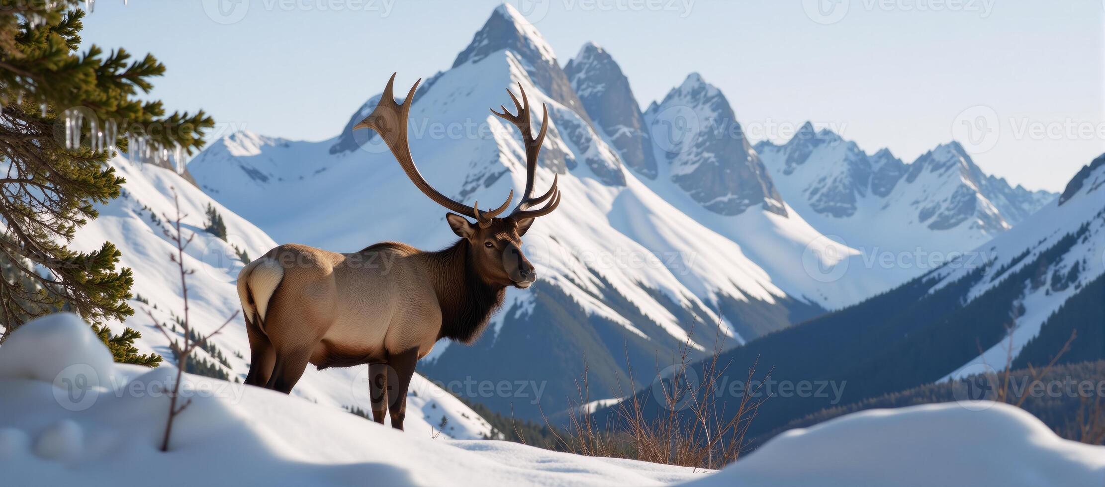 Elk portrait set against rugged mountain backdrop photo