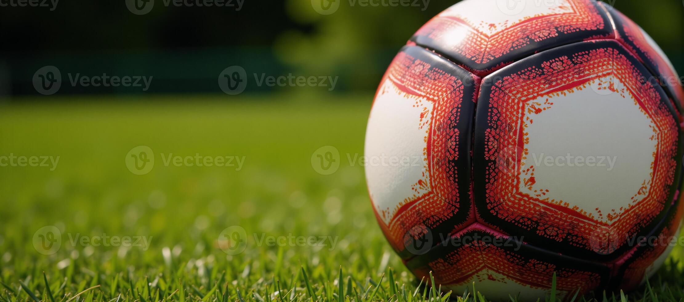 Soccer Ball Isolated Football Focused on Ball Alone Isolation photo