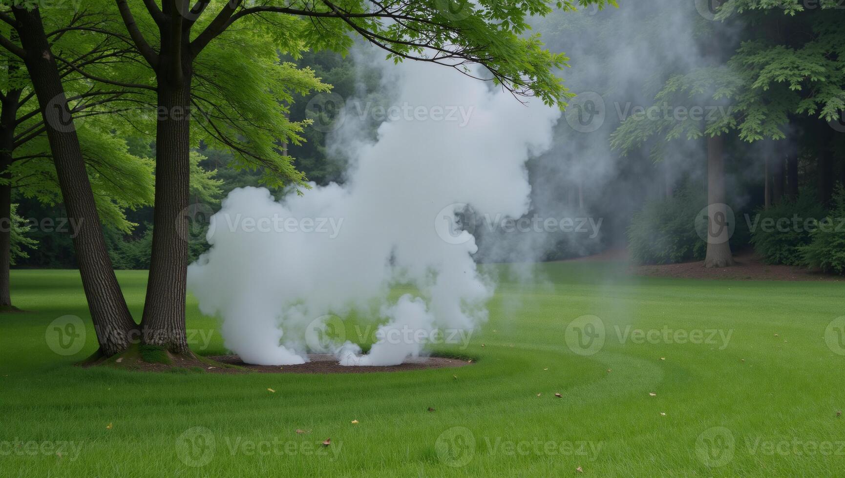 Outdoor scene with fog mistily spouting from natural elements photo
