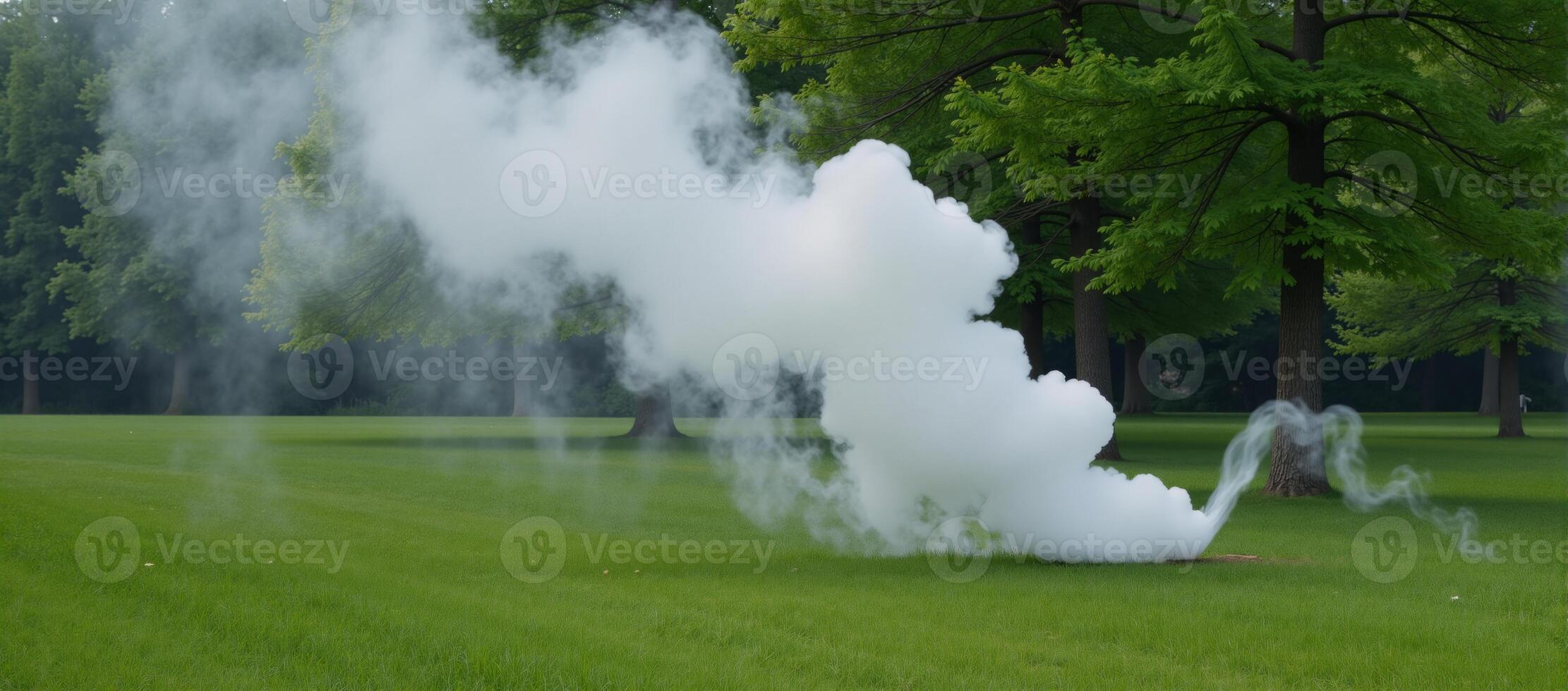 Outdoor scene with fog mistily spouting from natural elements photo