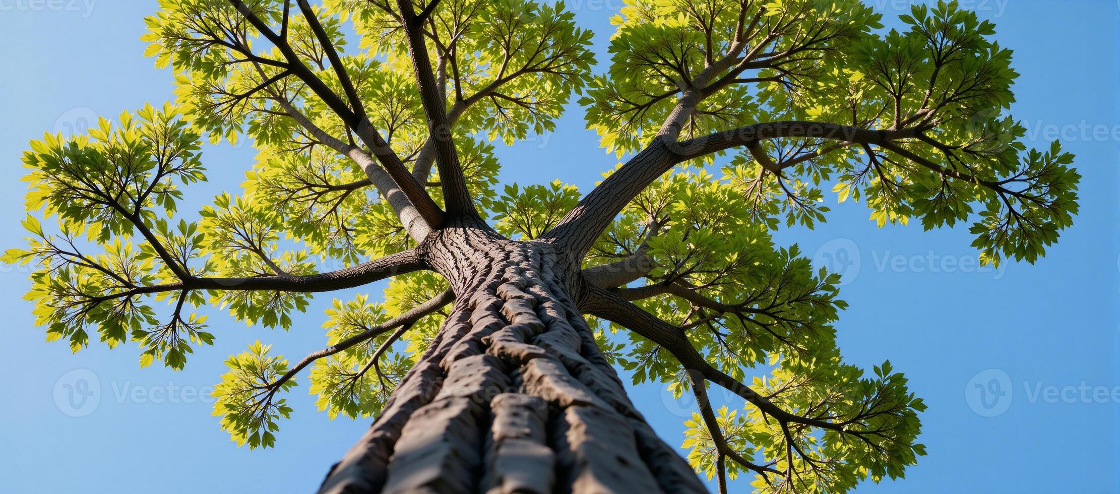 Vibrant depiction of a towering tree with expansive root system and soaring branches photo