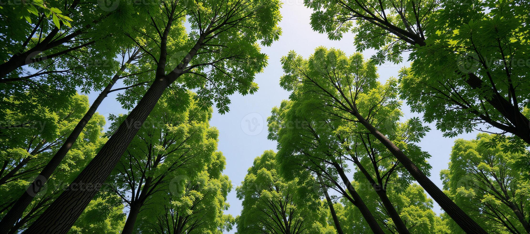 Trees as earths natural air filters planting more helps fight air pollution for improved health photo
