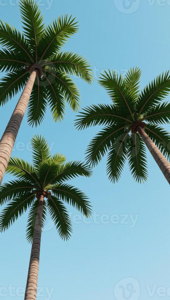 3Drendered image with palm trees as foreground subject against a backdrop landscape photo