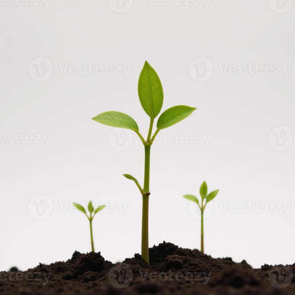 Isolated illustration of a tree sprouting from the earth created with intricate details and textures photo