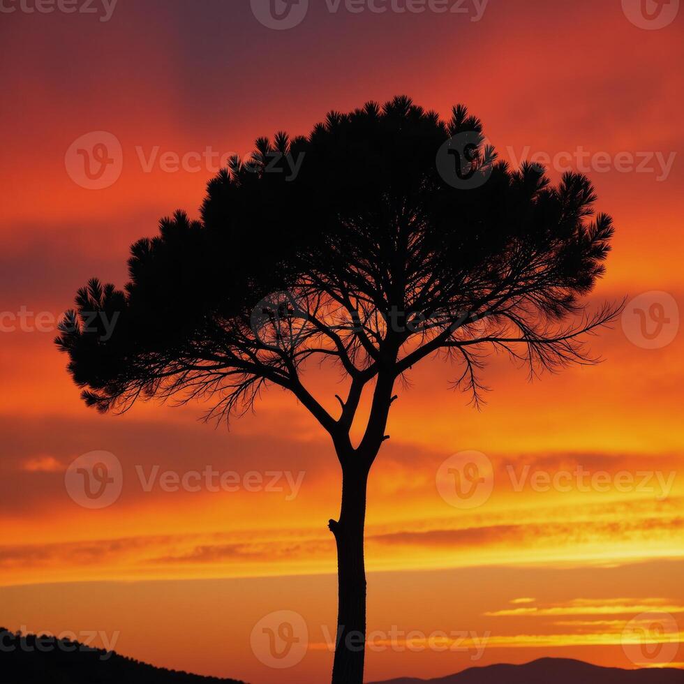 A solitary tree at sunset is depicted through detailed illustrative paintings photo