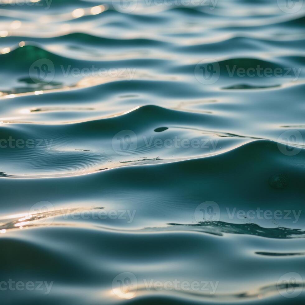 Sea water surface elements in a clean cutout format photo