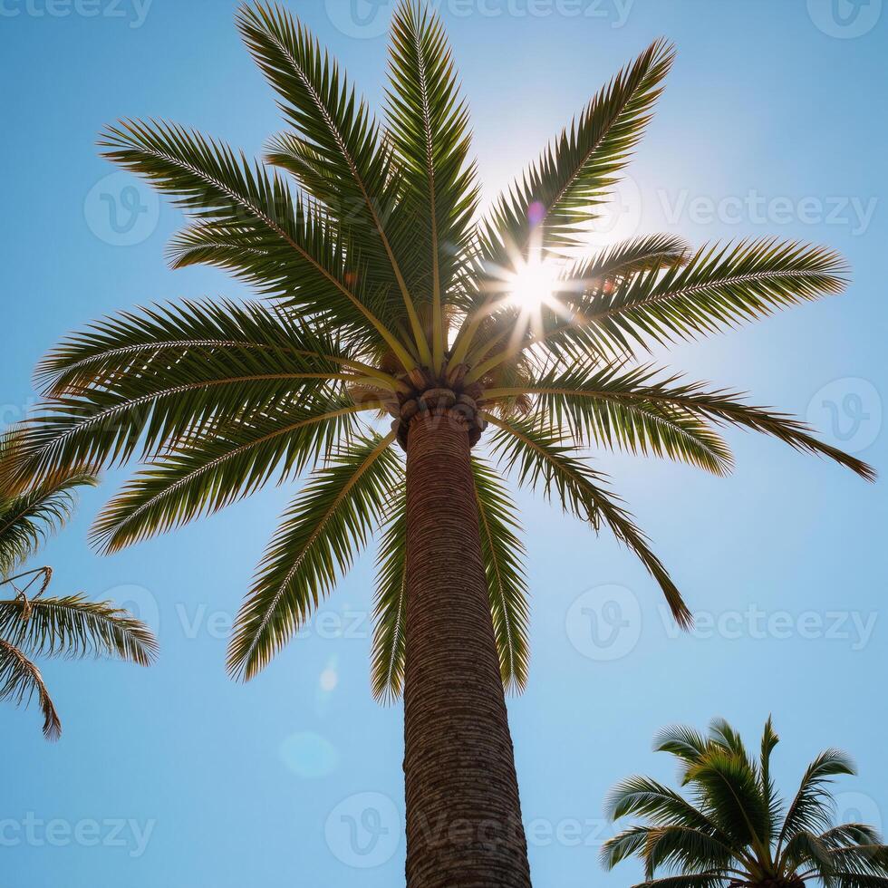 Stunning depiction of a radiant palm tree under bright sunlight photo
