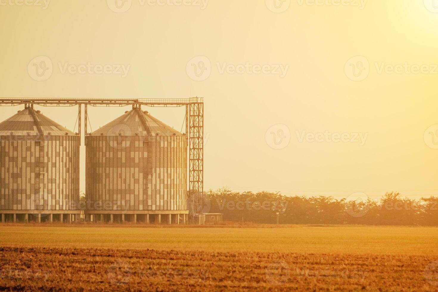 Silos and granary elevator. Modern agro-processing manufacturing plant with grain-drying complex. processing, drying, cleaning, and storing agricultural products in wheat, rye or corn fields photo