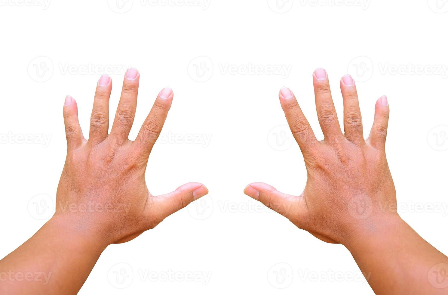 Human Hands Isolated on White Background Showing Open Palms with Fingers Spread Apart photo
