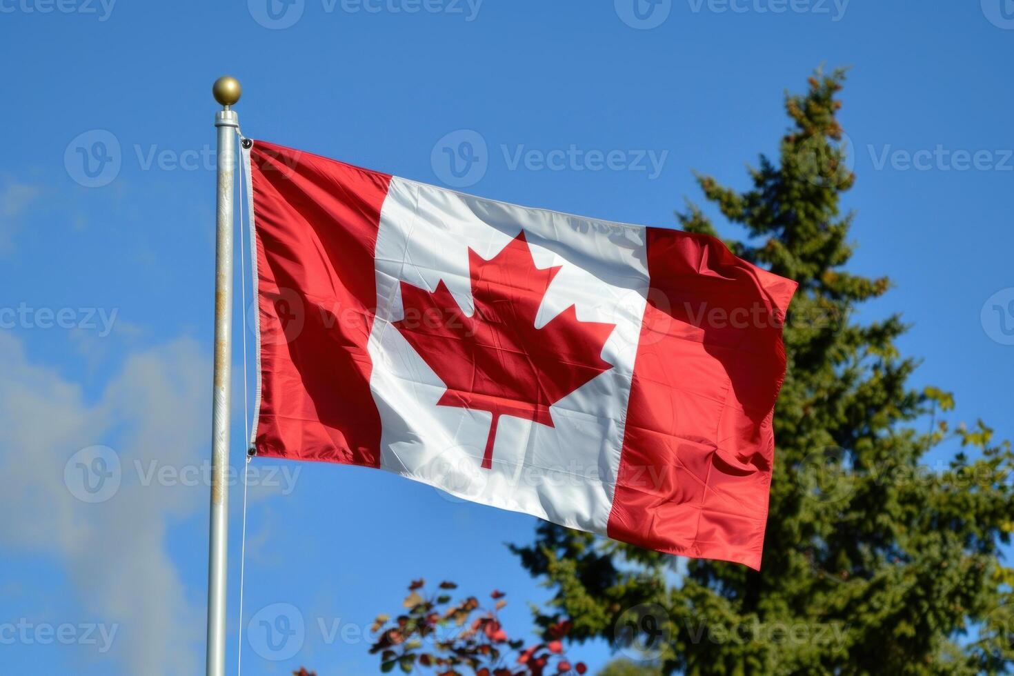 The canadian flag is flying on a sunny day photo