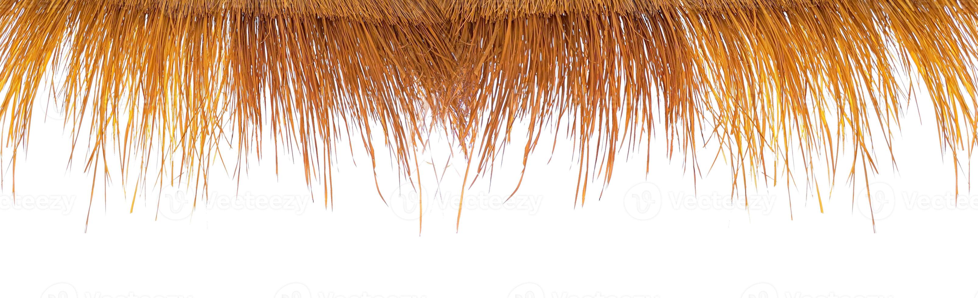 Close-Up of Golden Straw Roof Against White Background Highlighting Natural Texture and Rustic Charm photo