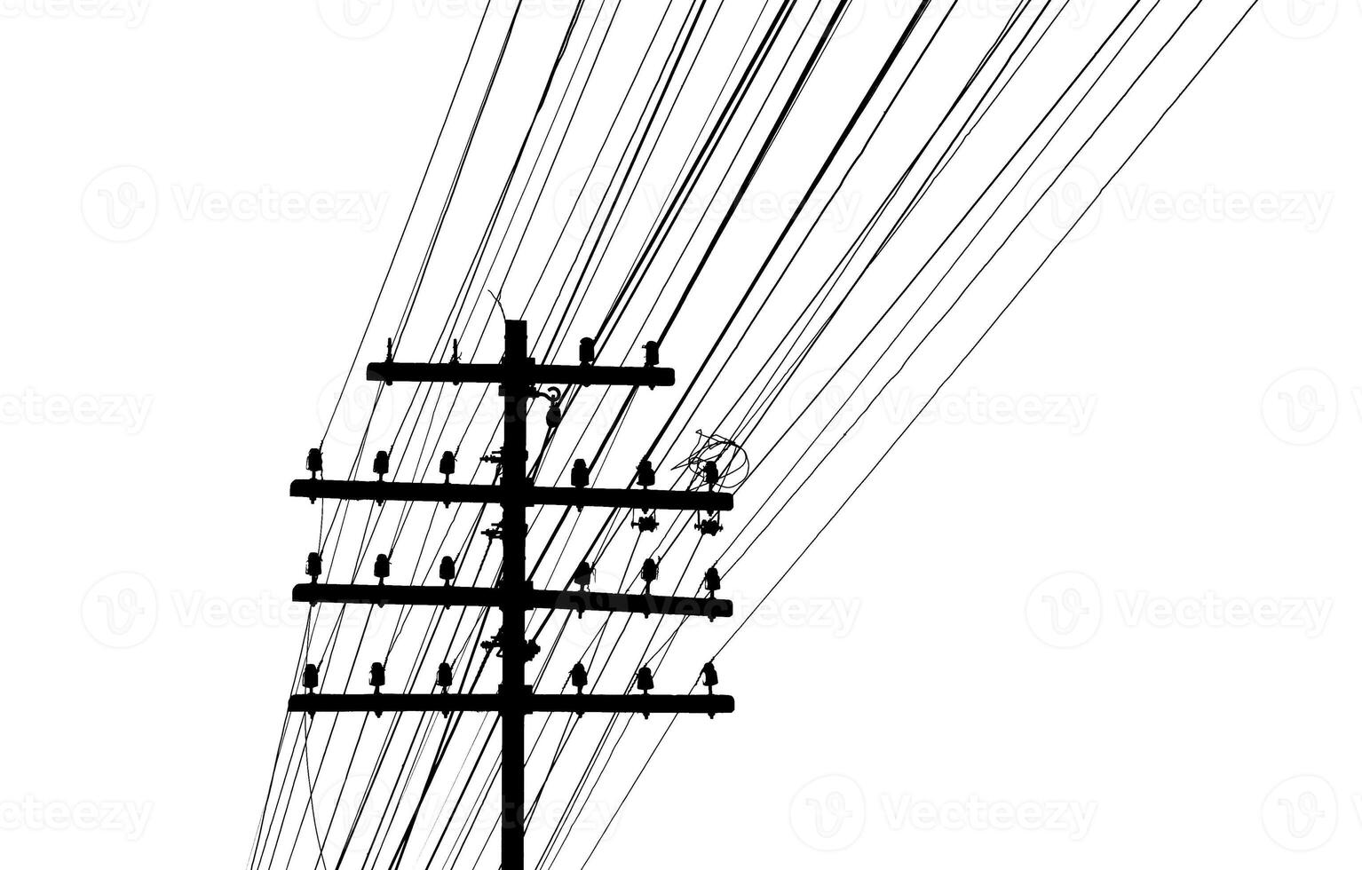 Silhouette of a Telephone Pole with Multiple Power Lines Against a White Background photo