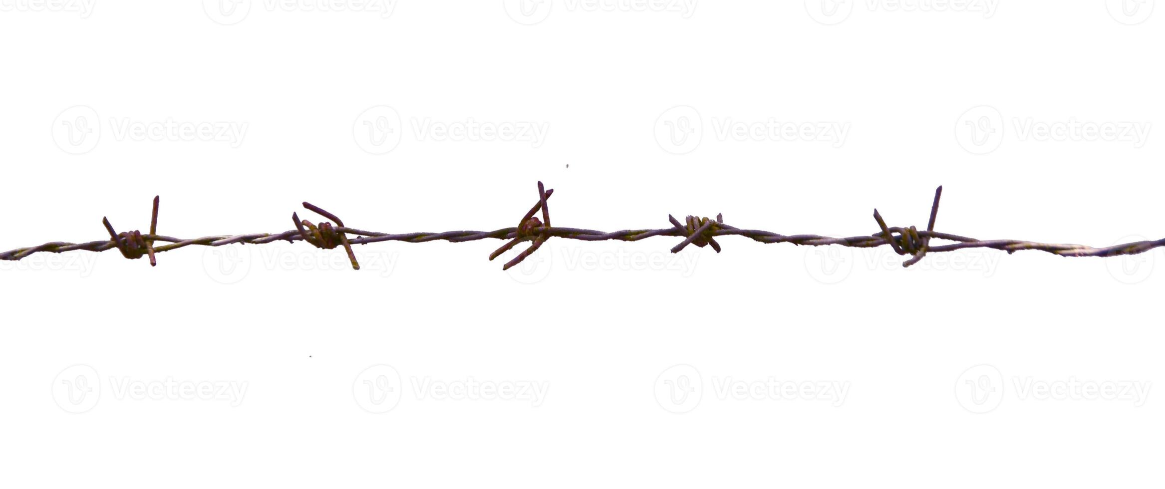 Close-Up of Rusty Barbed Wire Isolated on White Background for Industrial and Security Themes photo