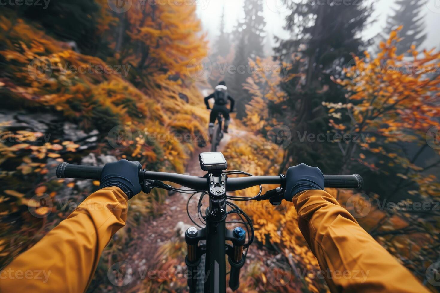 Cyclist riding mountain bike on autumn forest trail photo