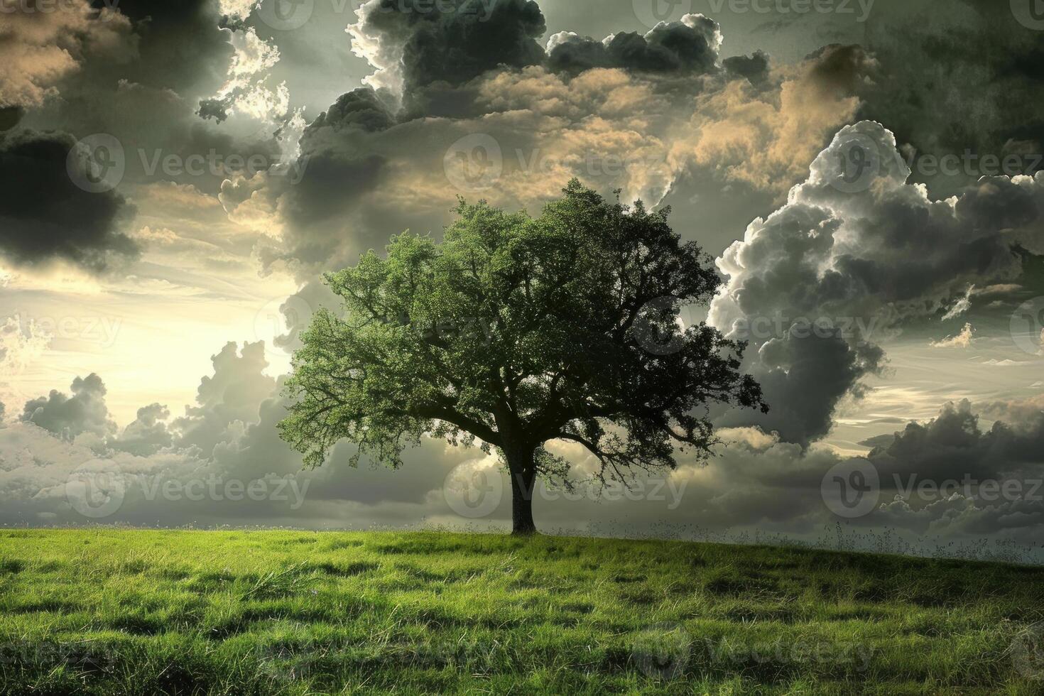 Lone tree standing strong in green field under dramatic sky photo