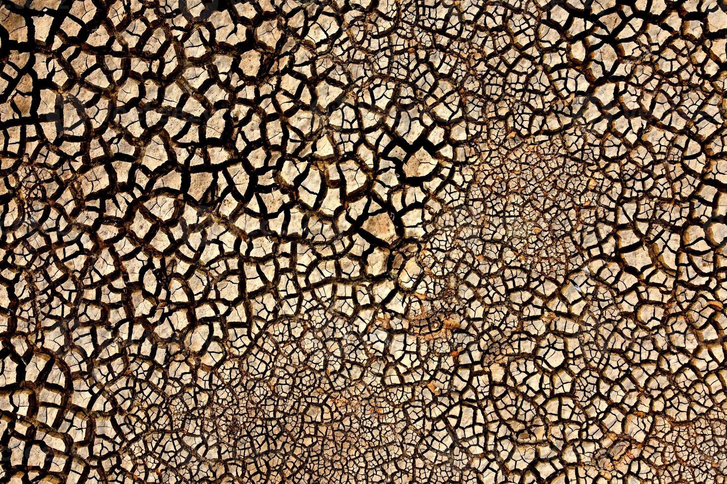 Aerial View of Cracked Earth Texture in Arid Desert Landscape Highlighting Effects of Drought and Climate Change photo