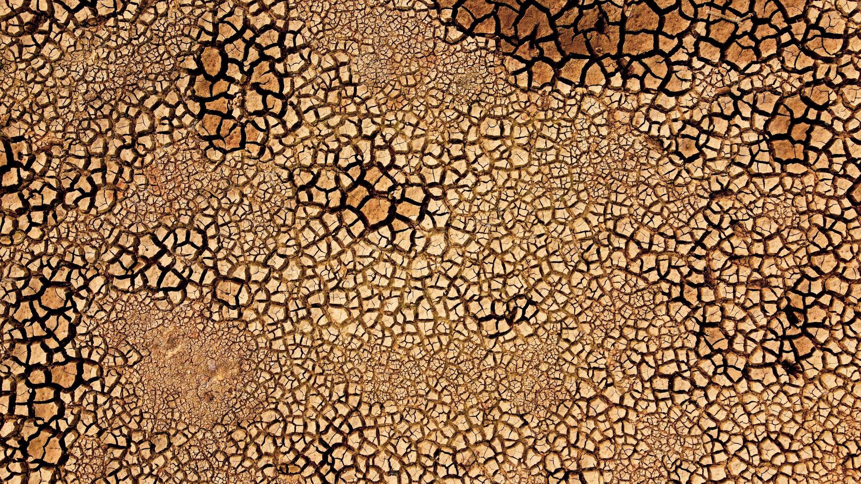 Aerial View of Cracked Earth Texture in Drought-Affected Area Highlighting Climate Change and Environmental Impact photo