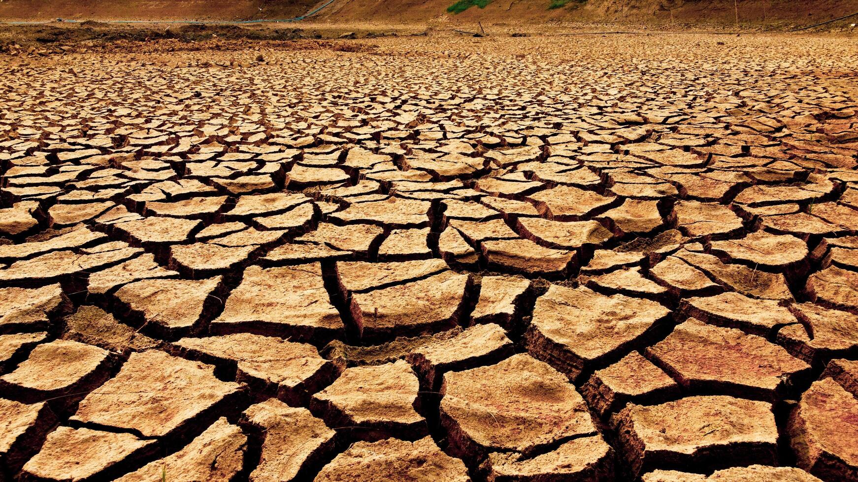 Cracked Earth in Drought-Stricken Area Highlighting Severe Water Scarcity and Climate Change Impact photo