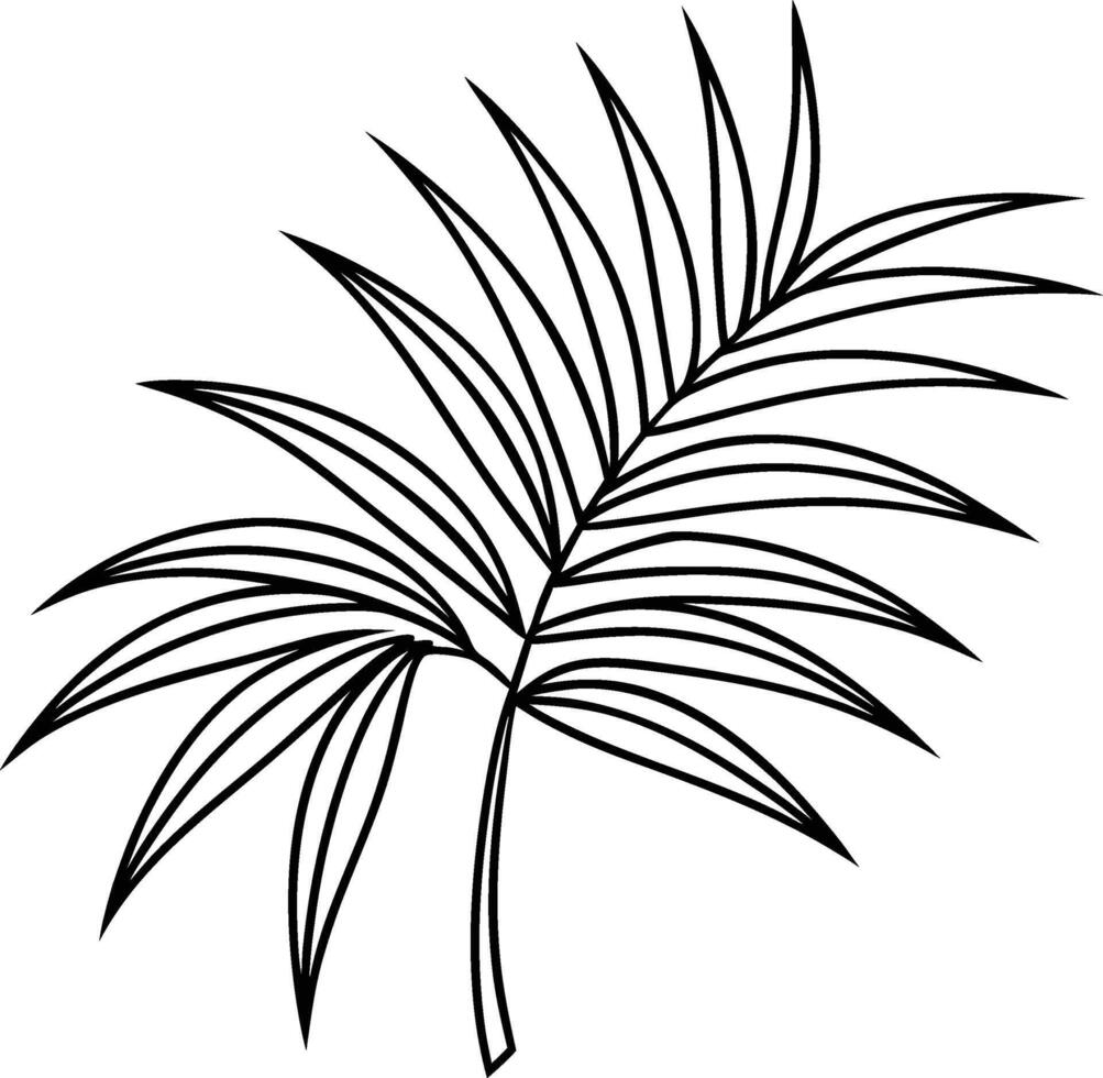 A Journey with Palm Leaves vector