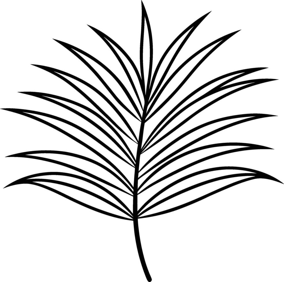 Palm Leaves and Reflection vector