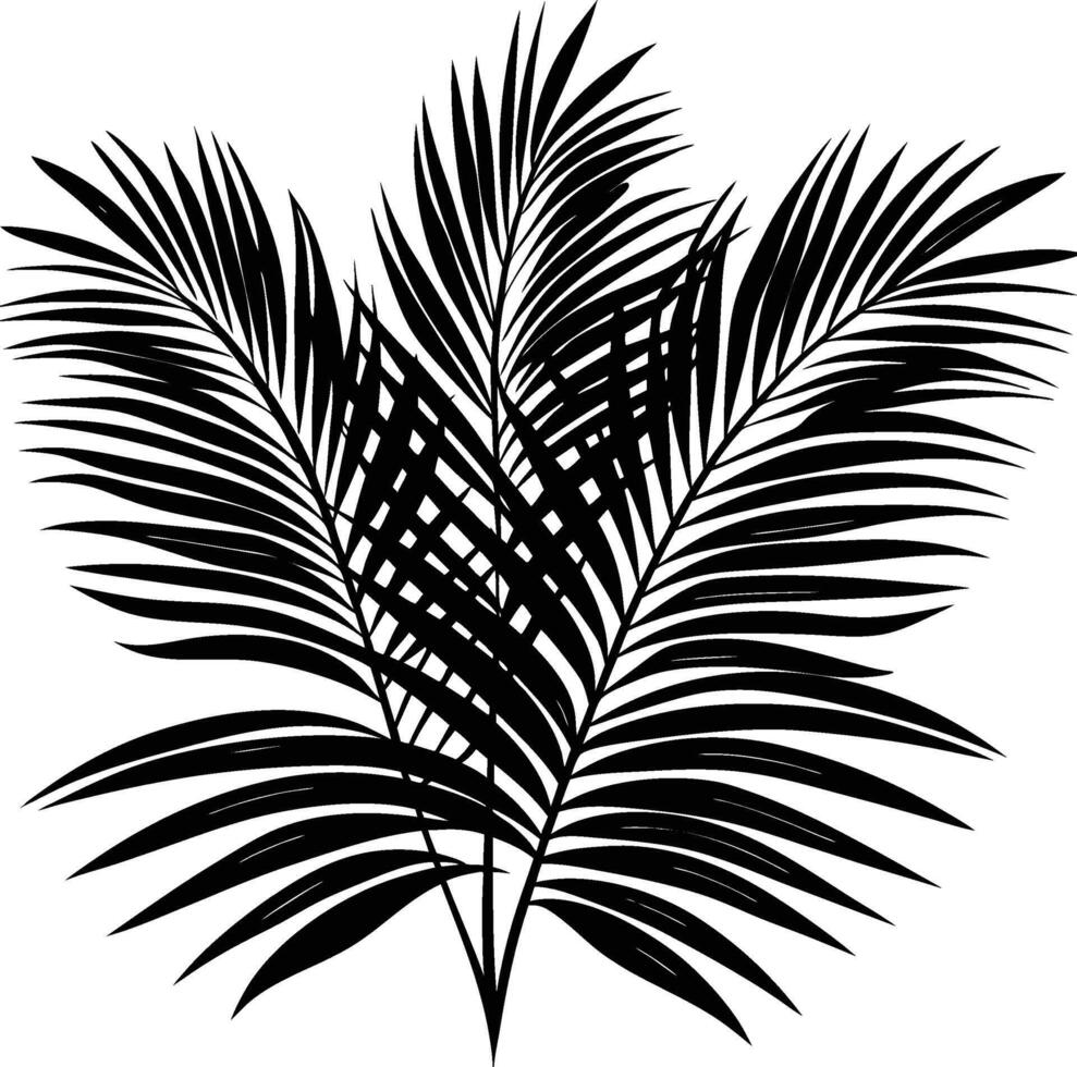 The Meaning Behind Palm Leaves vector