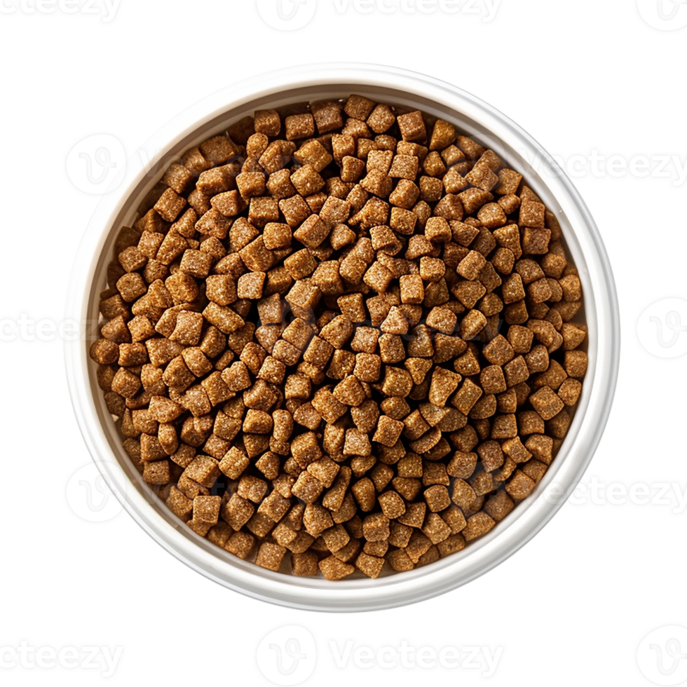 Up view small piece pet food in a bowl on a transparent background png