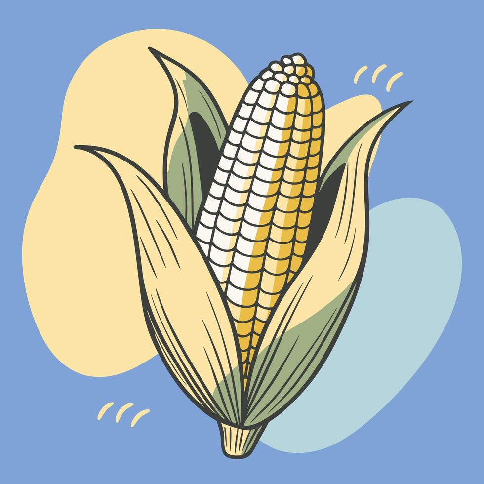 Corn on the cob illustration vector