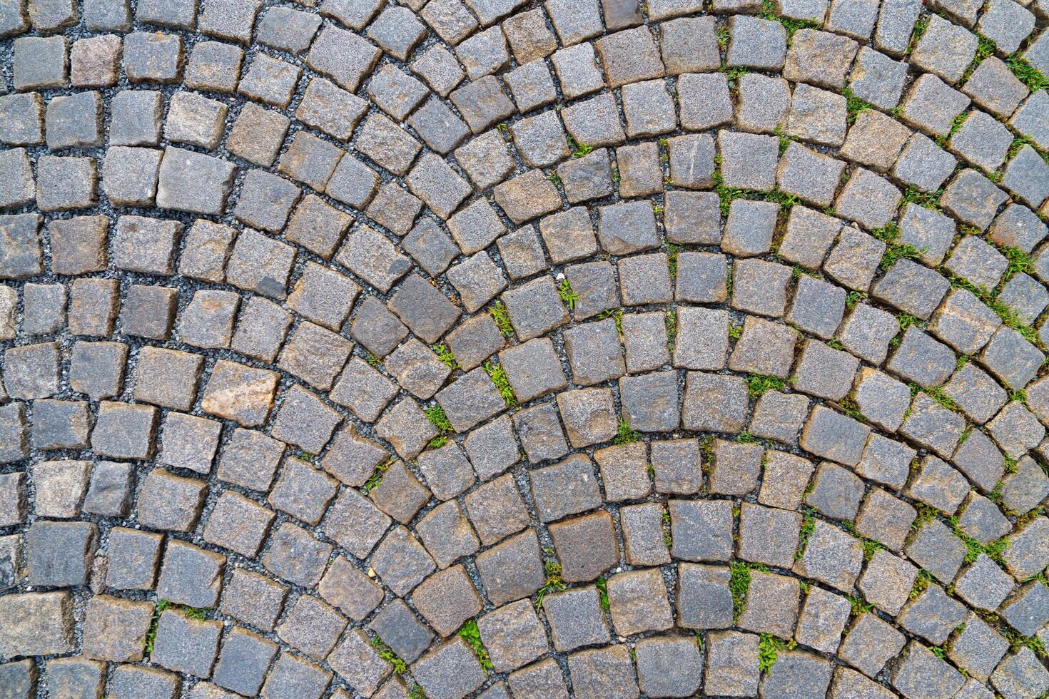 A charming cobblestone street showcases a radial pattern of gray stones, lined with colorful buildings. Weeds peek through the cracks, adding a touch of nature to this historic scene, ideal for tourists. photo