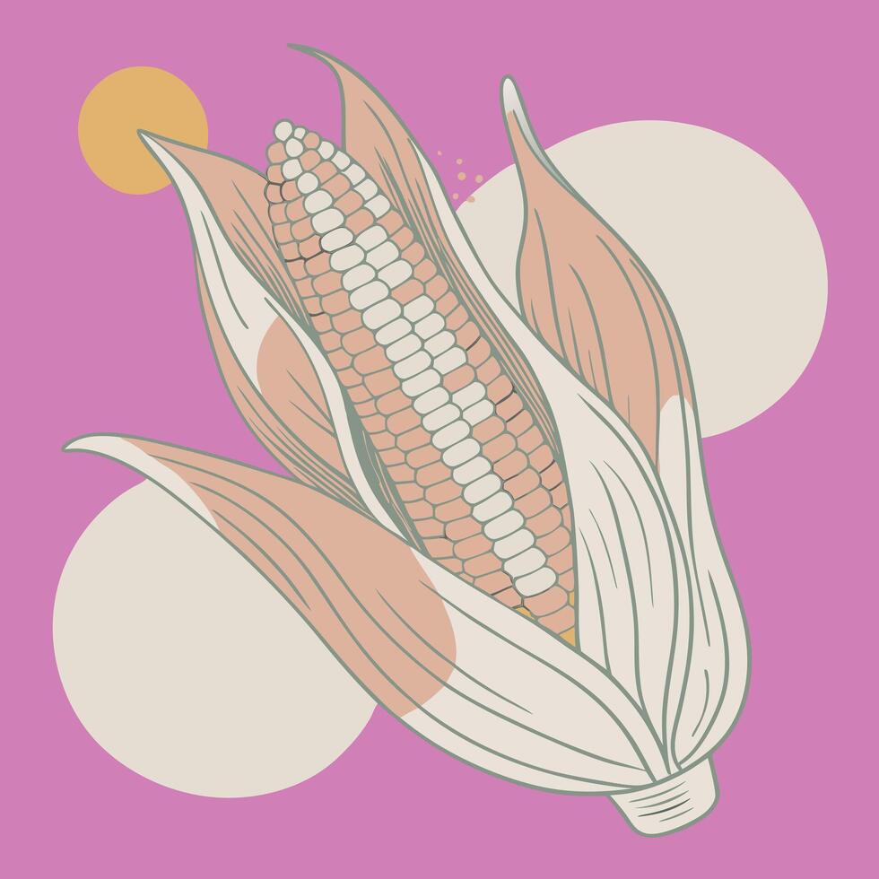 Corn on the cob illustration vector