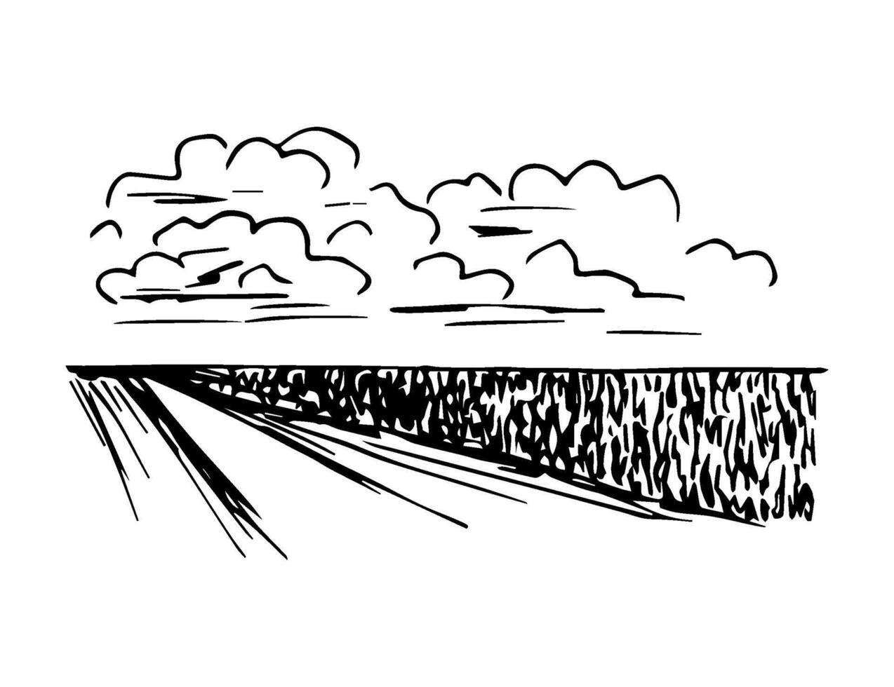 Hand-drawn simple illustration with black outline in engraving style. Rural landscape, field, road, clouds. Nature, farming, cereal cultivation. vector