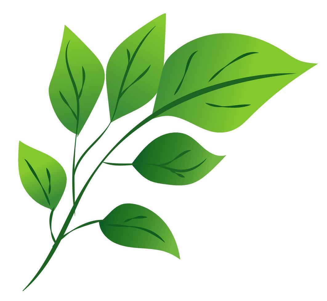 features a green leaf branch with various leaf shapes, showcasing a smooth graphic style. illustration vector