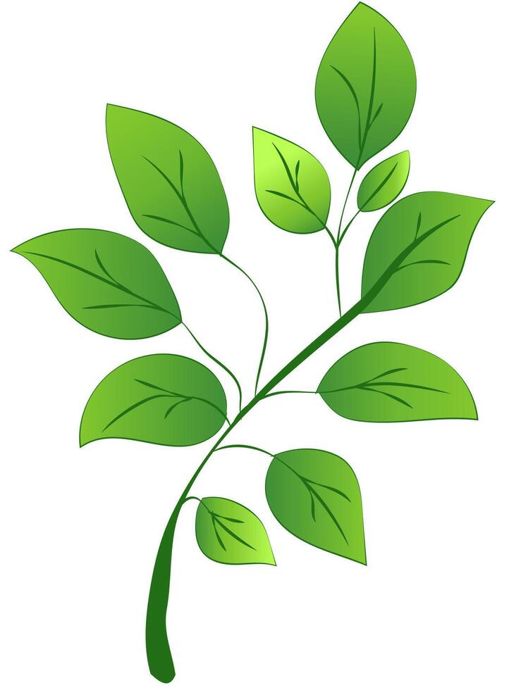 A green leafy branch with detailed leaves, presented in a vibrant graphic style, against a white background. illustration vector