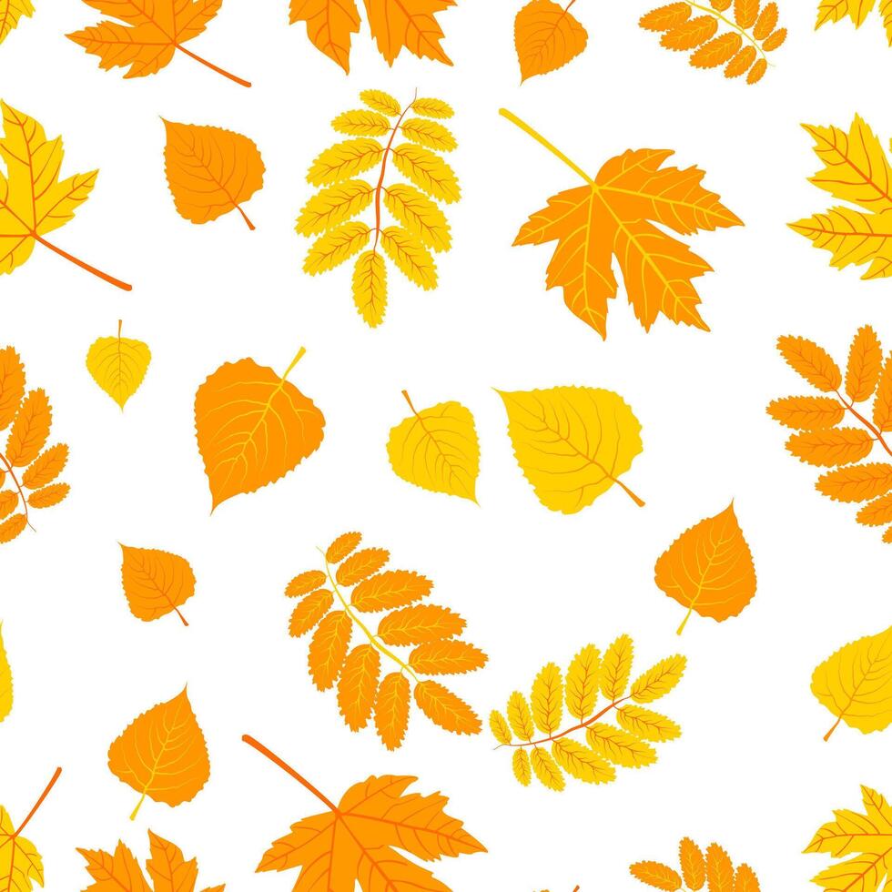 A seamless pattern featuring various autumn leaves in shades of orange and yellow on a white background. illustration vector